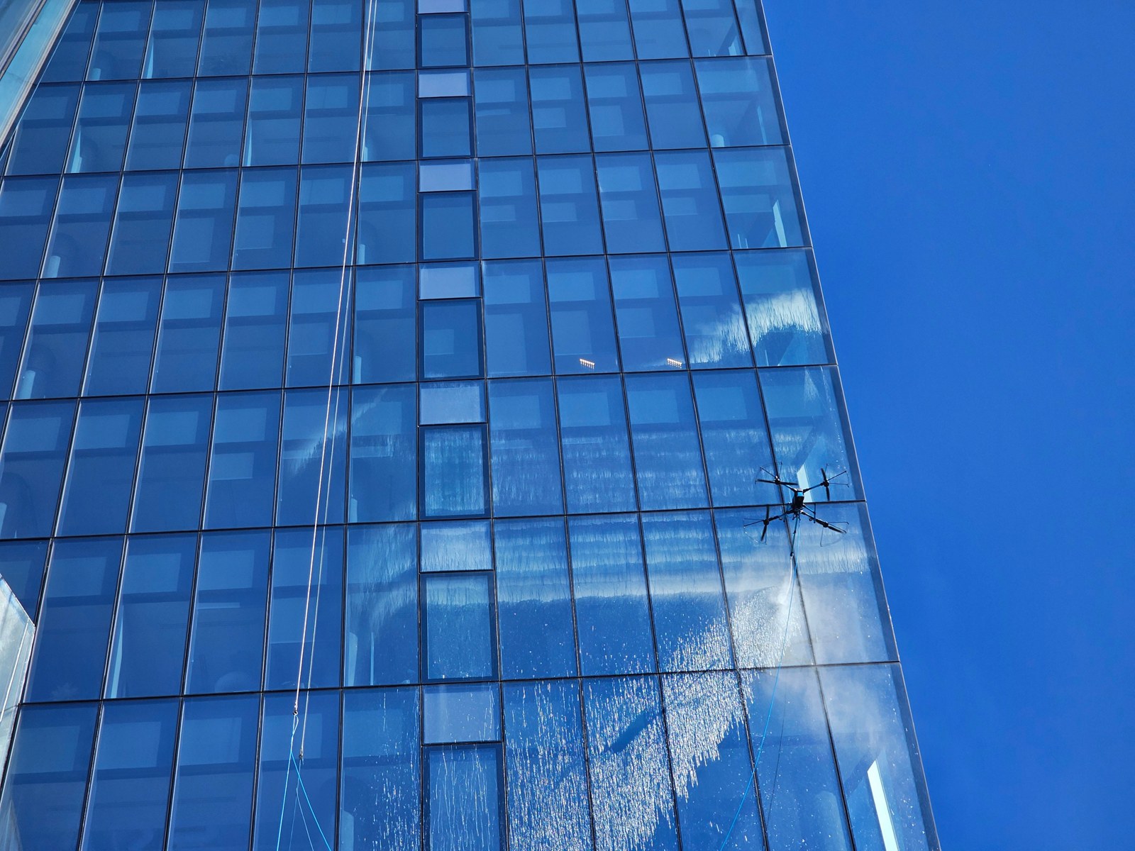 Cleaning drone working beside a commercial glass curtain wall